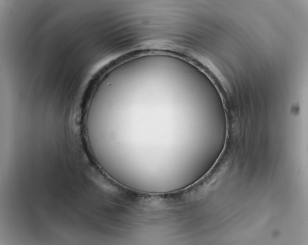 X0000102540971200808221925
