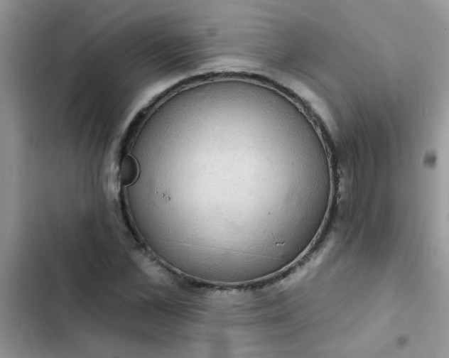 X0000102540973200808221925