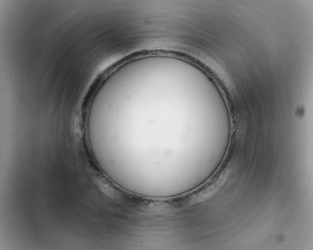 X0000102540974200808221925