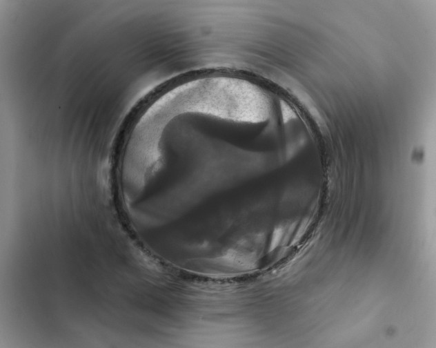X0000102540975200808221925