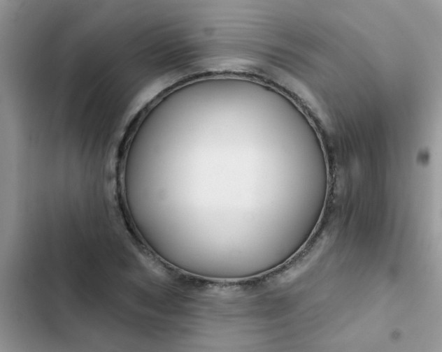 X0000102540978200808221925
