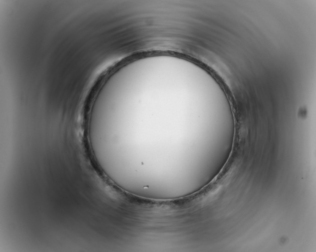 X0000102540979200808221925