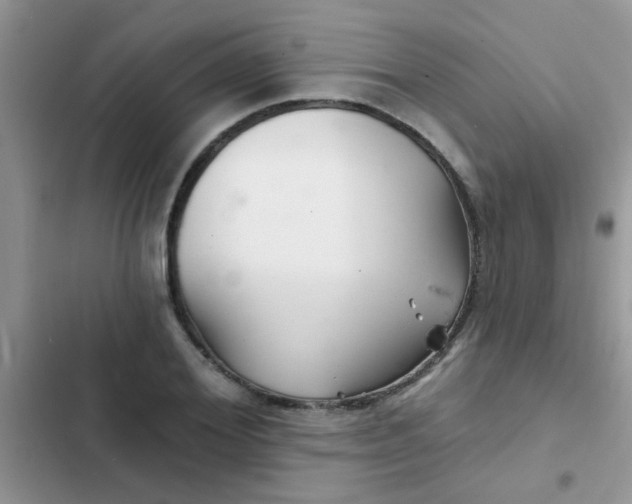 X0000102540980200808221925