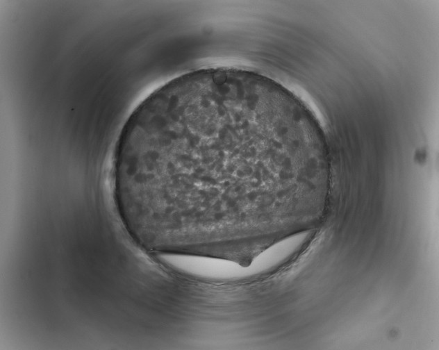 X0000102540983200808221925