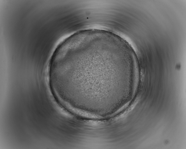 X0000102540987200808221925