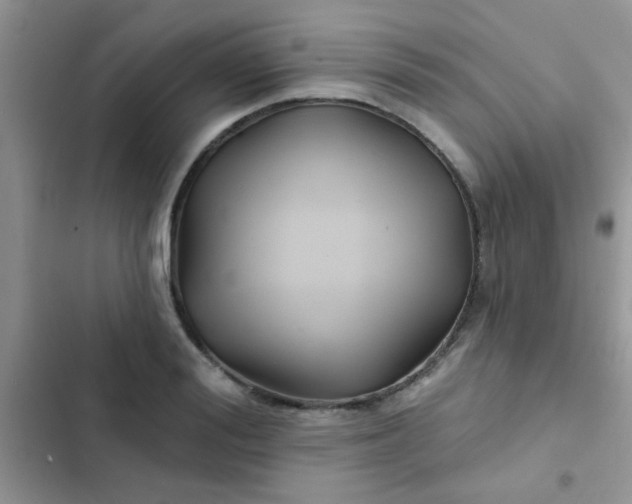 X0000102540988200808221925