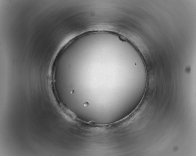 X0000102540990200808221925