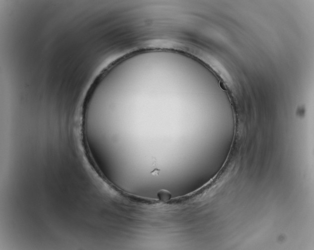 X0000102540992200808221925