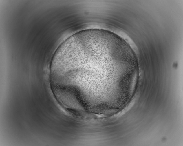 X0000102540993200808221925