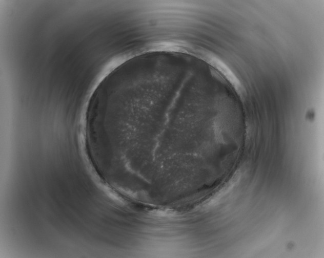 X0000102540994200808221925