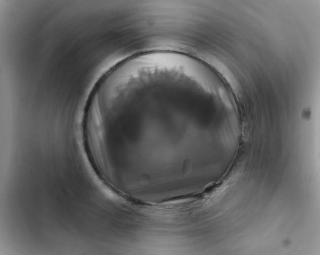 X0000102540995200808221925