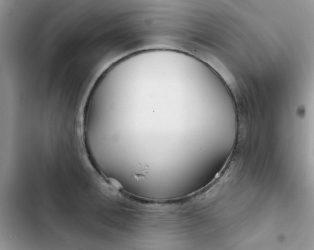 X0000102540996200808221925
