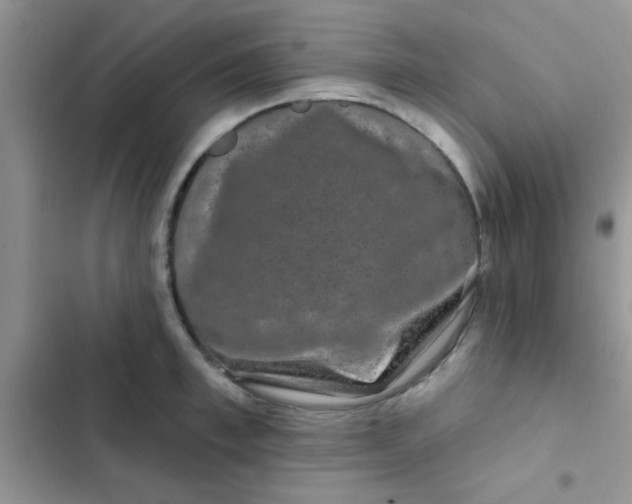 X0000102540997200808221925