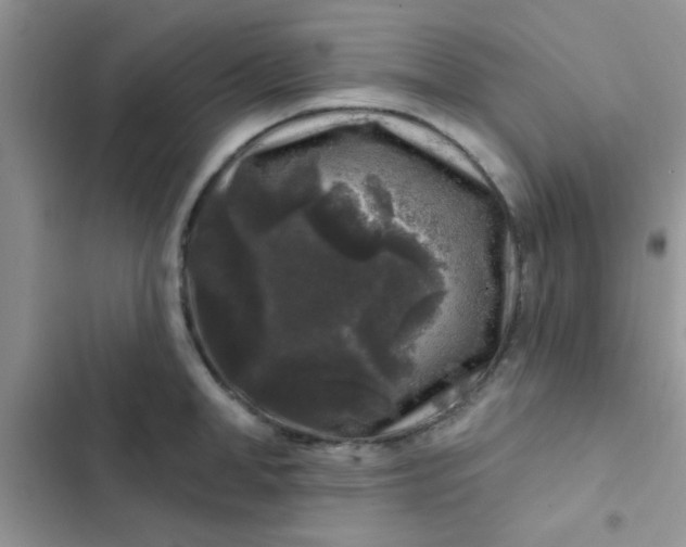X0000102540998200808221925