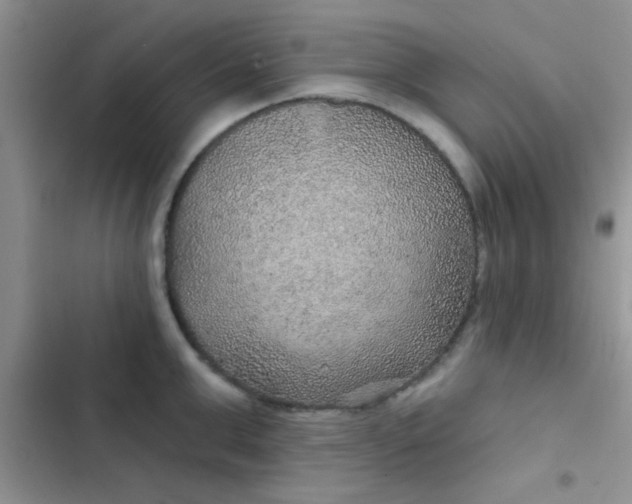 X0000102540999200808221925