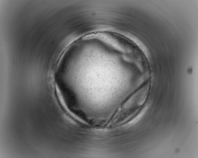 X0000102541001200808221925