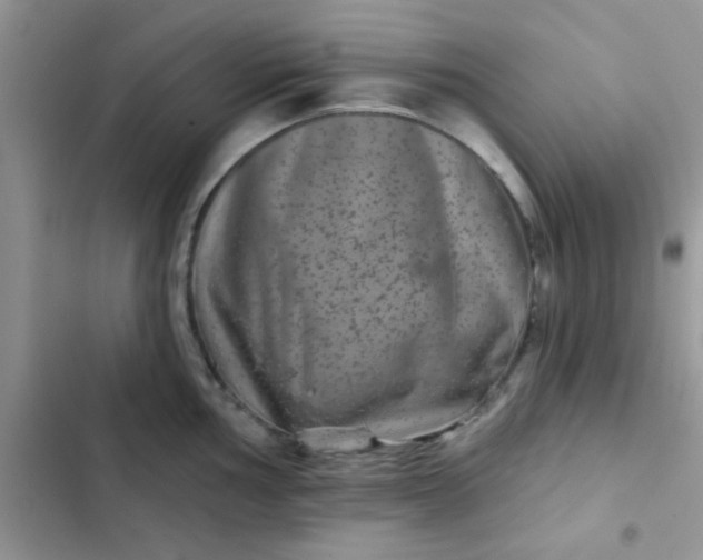 X0000102541002200808221925