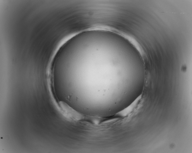 X0000102541003200808221925