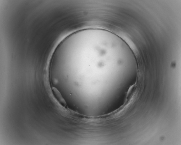 X0000102541004200808221925