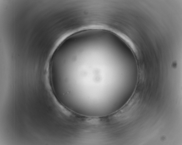 X0000102541006200808221925