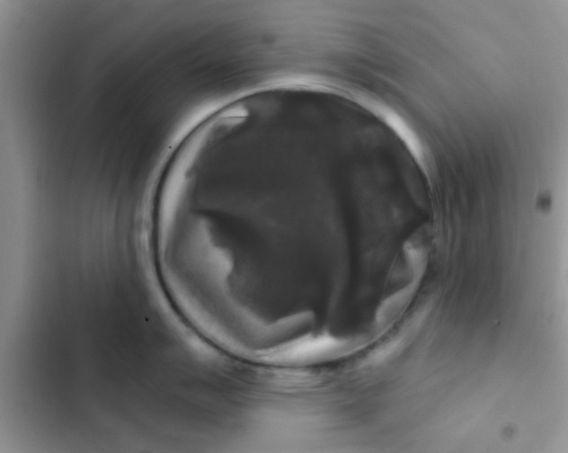 X0000102541007200808221925