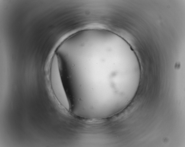 X0000102541008200808221925
