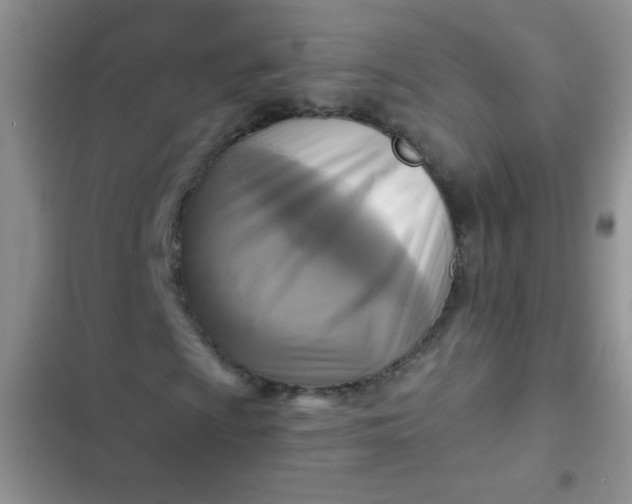 X0000102541009200808221924