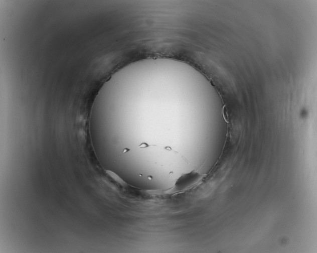 X0000102541010200808221924