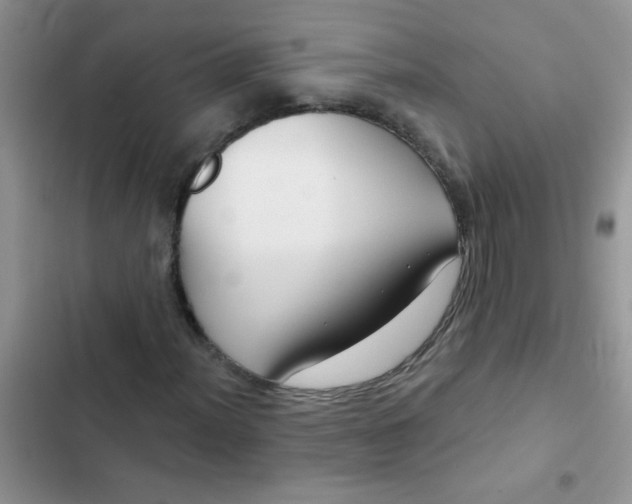 X0000102541012200808221924