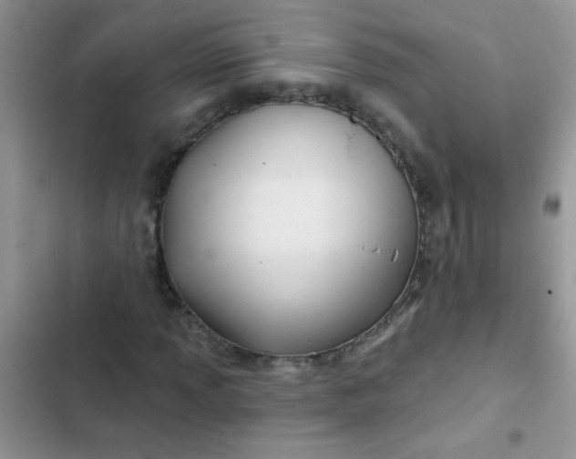 X0000102541013200808221924