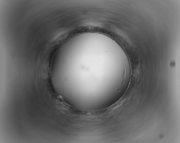 X0000102541014200808221924