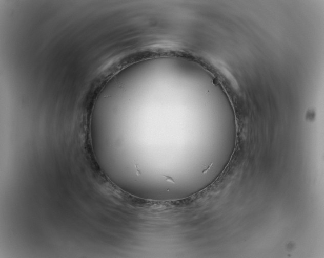 X0000102541015200808221924