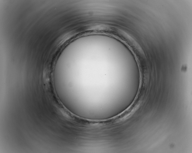 X0000102541017200808221924