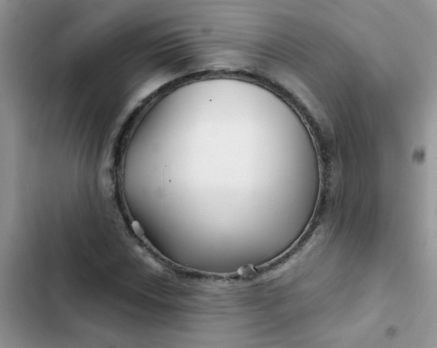 X0000102541018200808221924