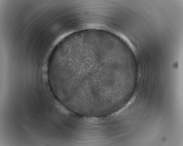 X0000102541019200808221924