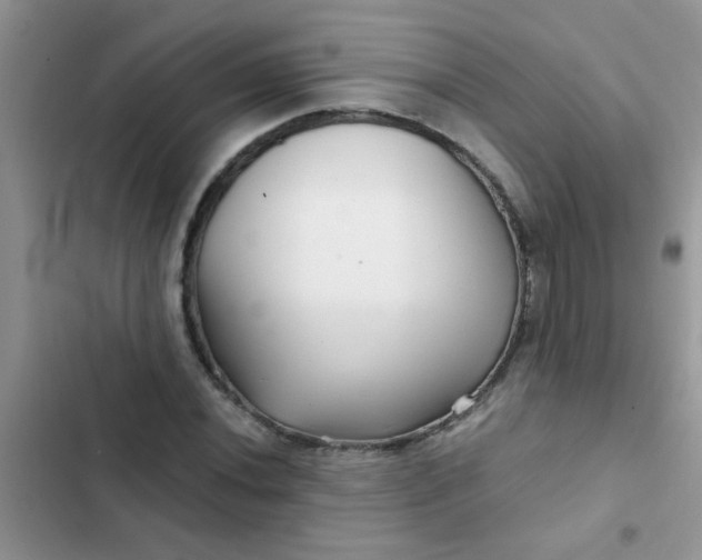 X0000102541020200808221924