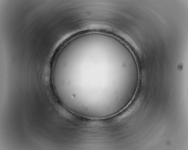 X0000102541021200808221924