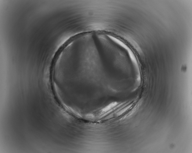 X0000102541023200808221924