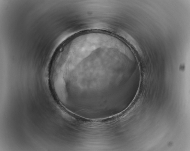 X0000102541024200808221924