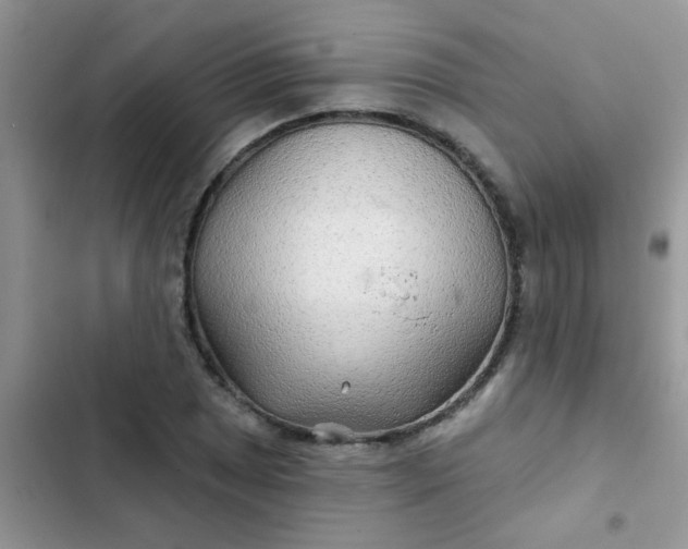 X0000102541025200808221924