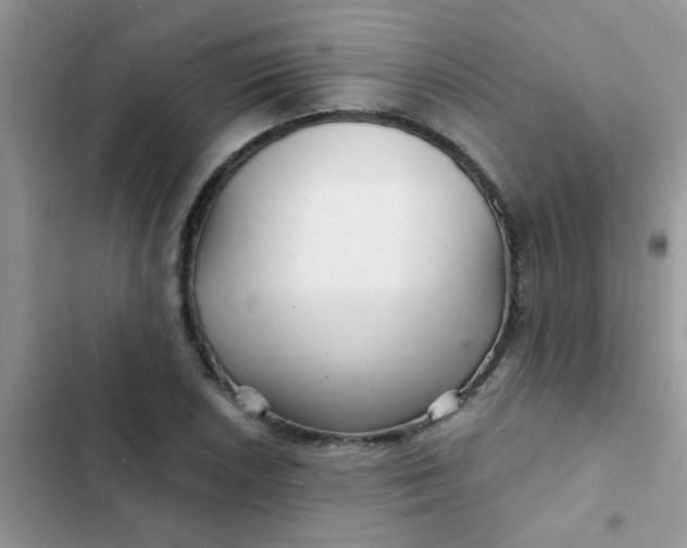 X0000102541026200808221924