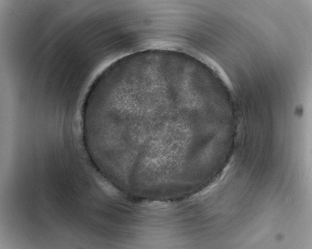 X0000102541027200808221924