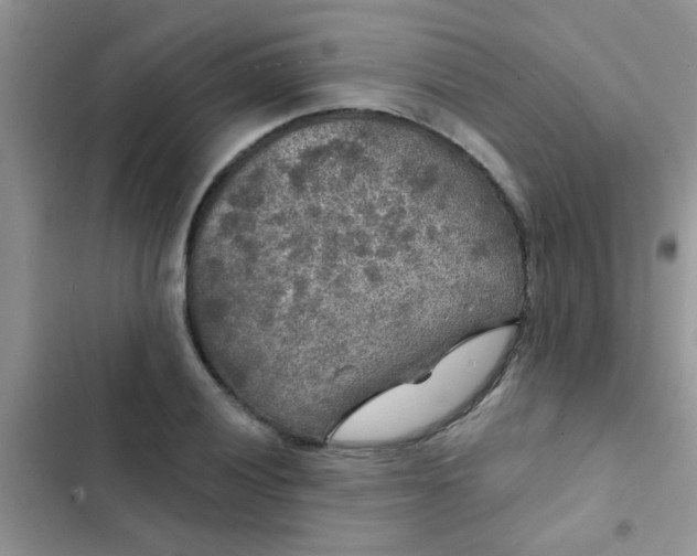 X0000102541028200808221924