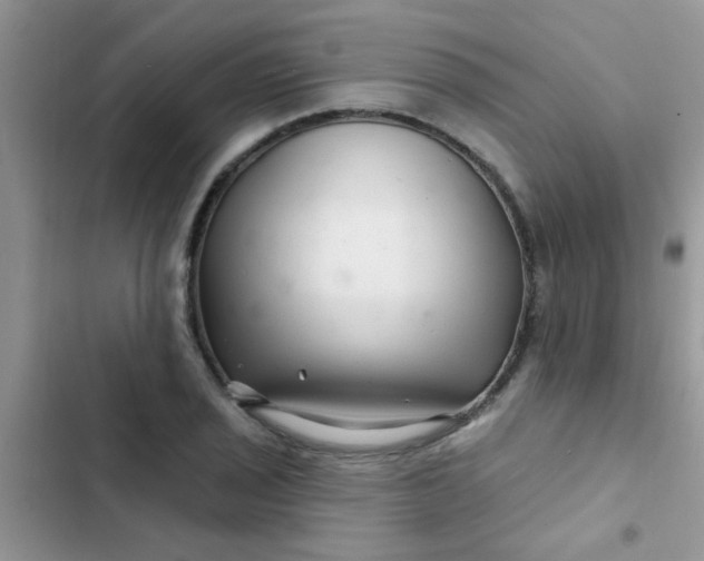 X0000102541029200808221924