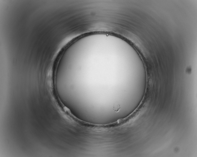 X0000102541030200808221924
