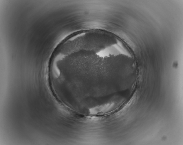 X0000102541031200808221924