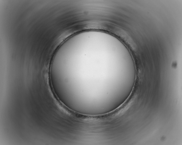 X0000102541033200808221924