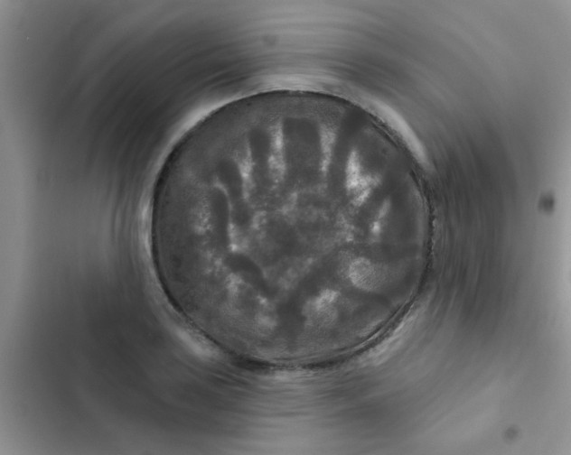X0000102541035200808221924
