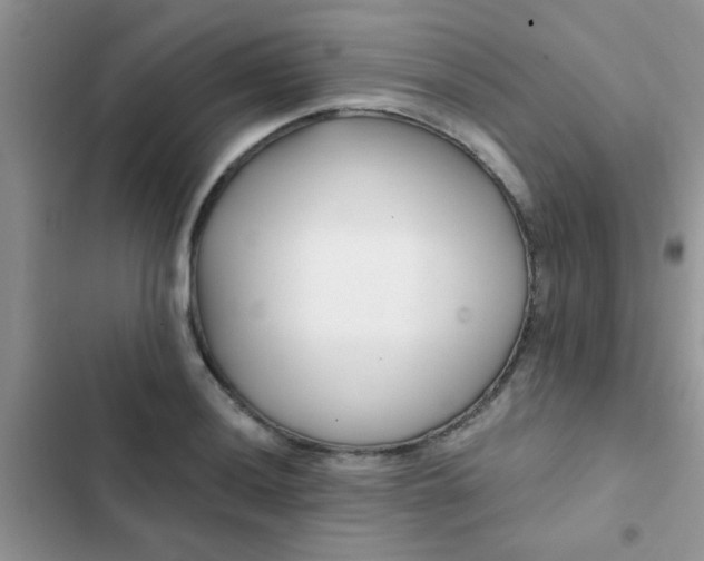 X0000102541036200808221924
