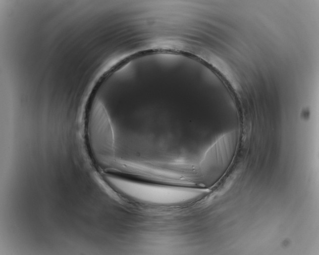 X0000102541037200808221924